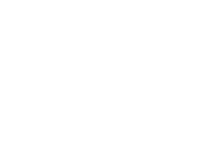 APDI - The Association of Performance Driving Instructors